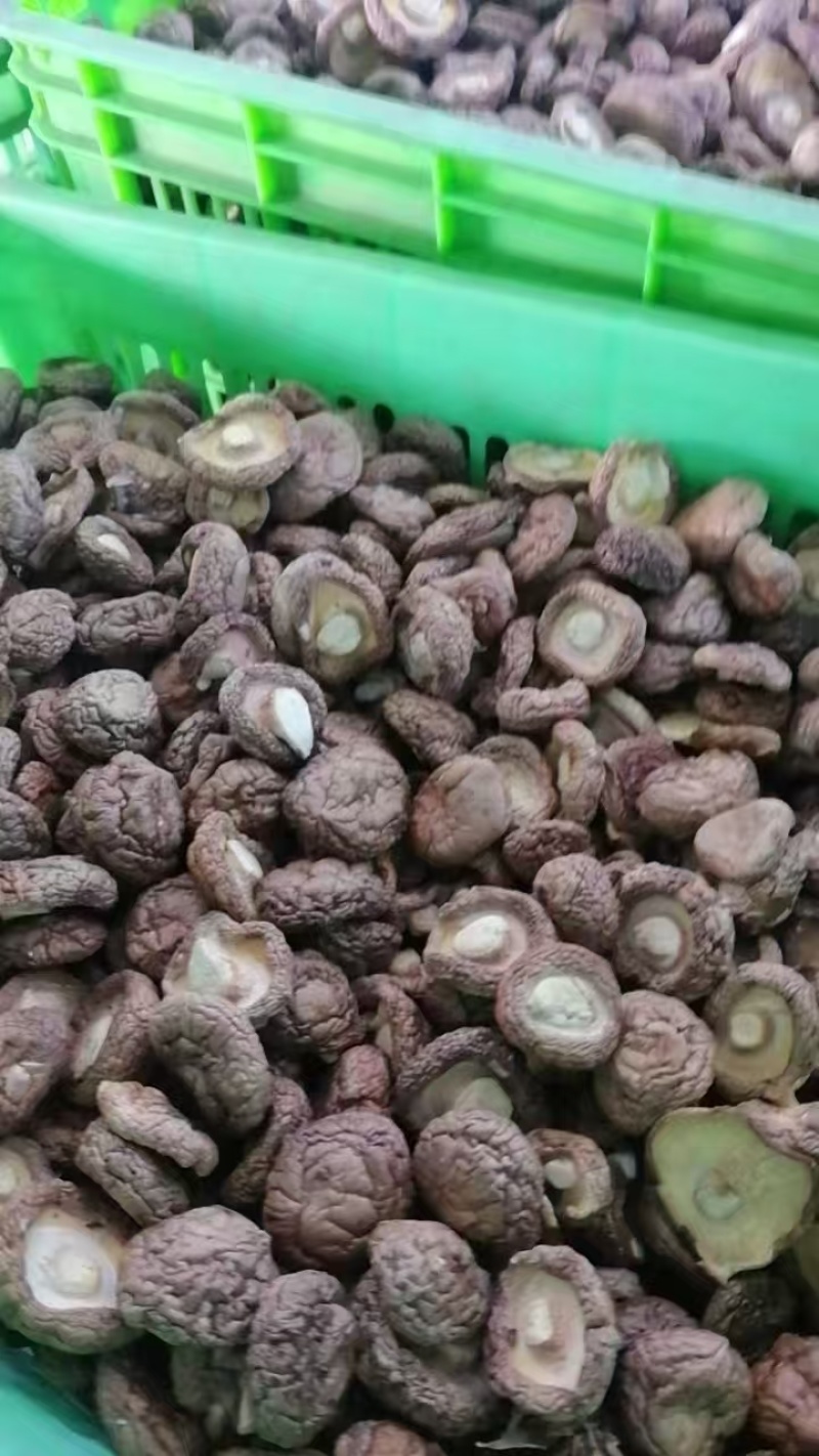 平泉市香菇干产地直发货源充足可视频看货