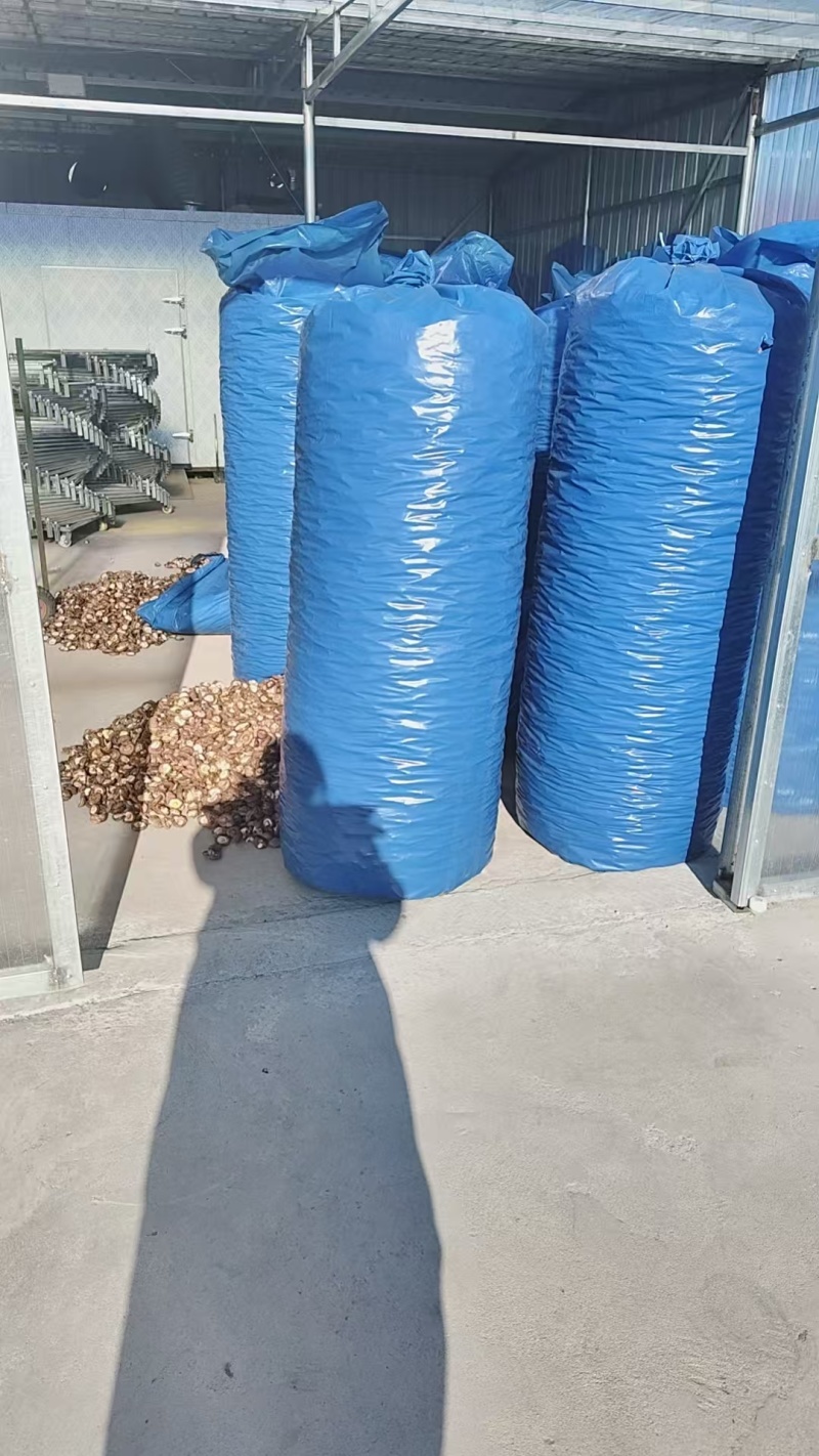 平泉市香菇干产地直发货源充足可视频看货