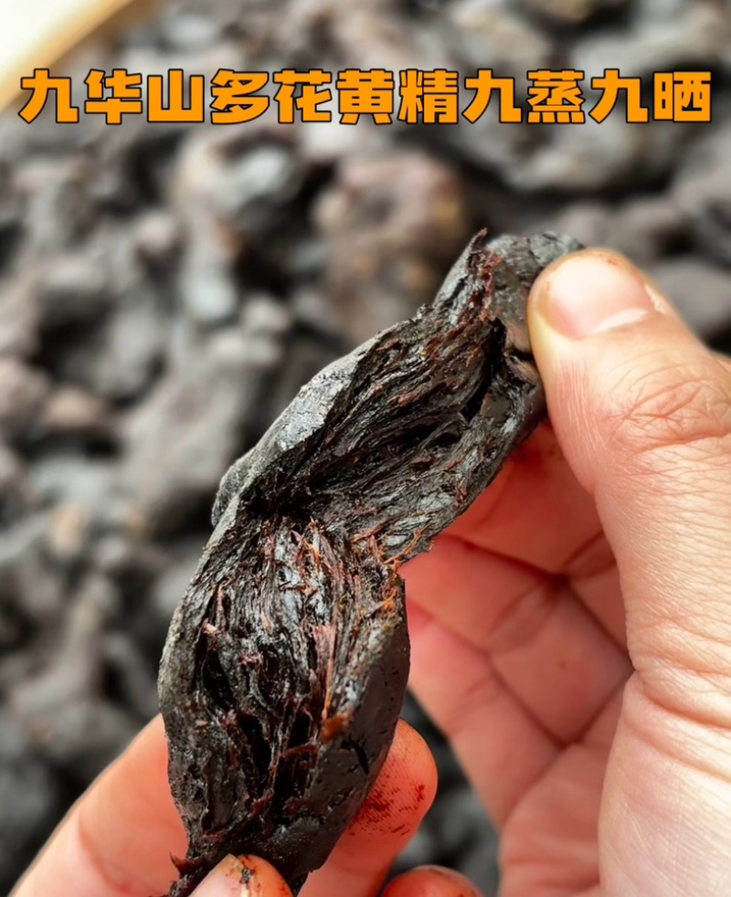 九华山九蒸九晒黄精
