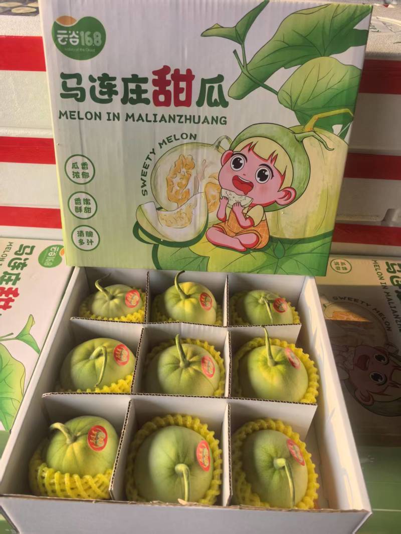 马连庄甜瓜