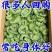 苦瓜脆片果蔬脆烘干脱水油炸vf清香脆嫩，味道鲜美