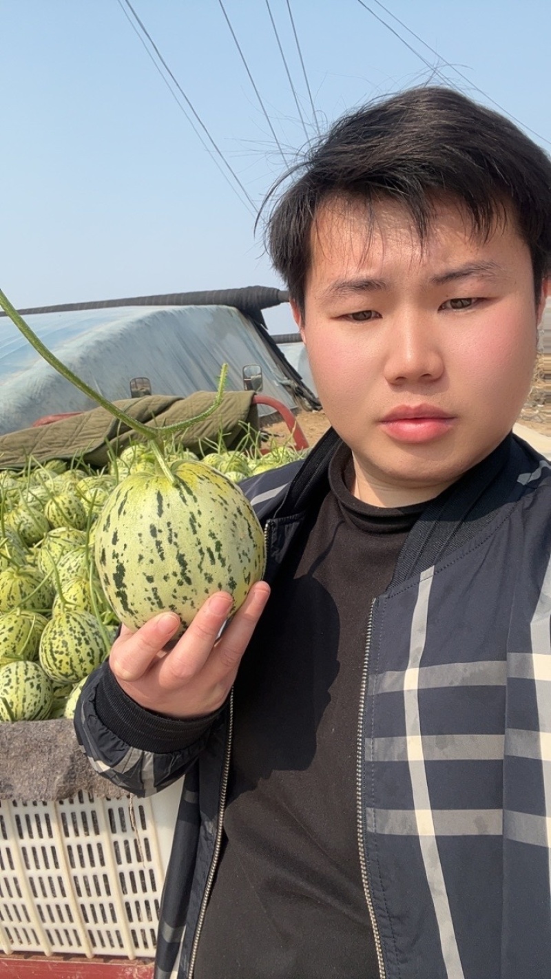 花美人甜瓜产地直销，品优价廉卖相好，个头大口感好！