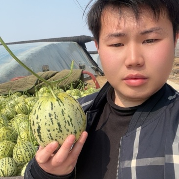 花美人甜瓜产地直销，品优价廉卖相好，个头大口感好！