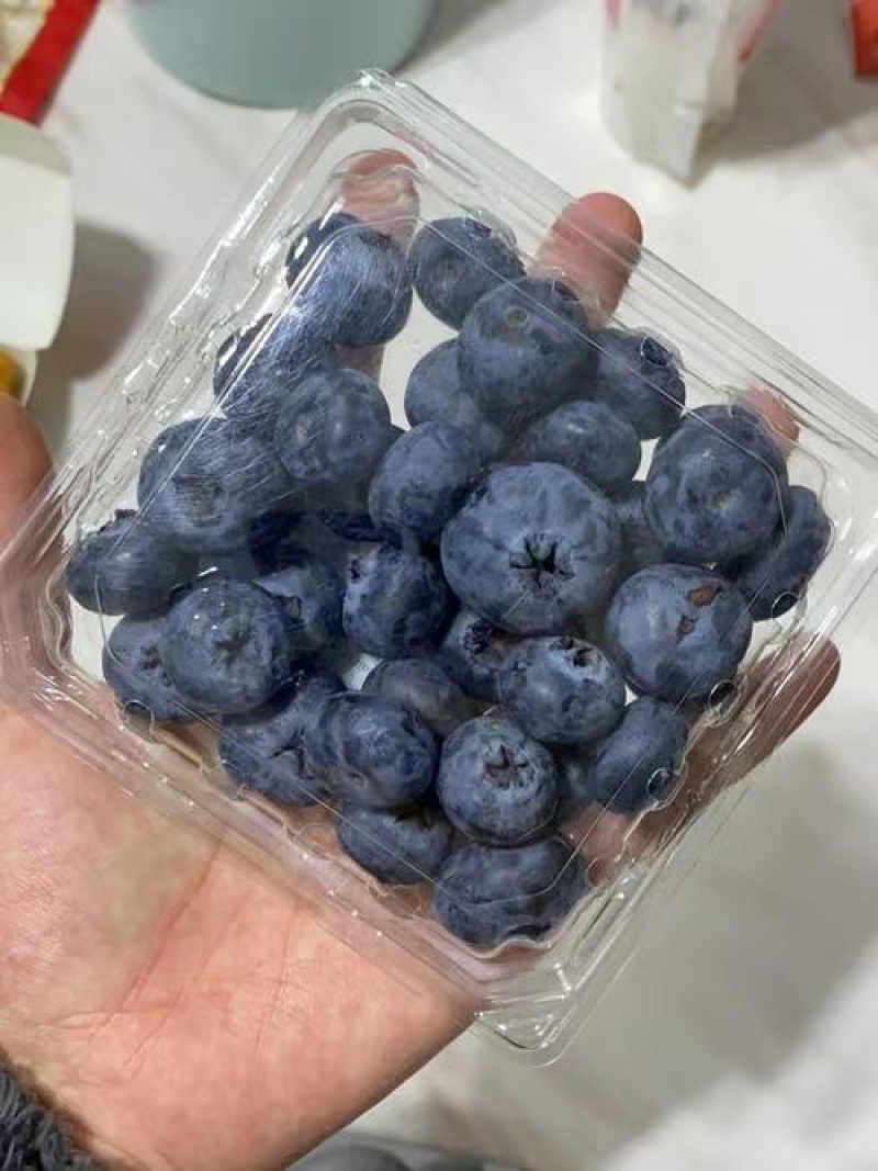 云南花香蓝莓花香肆意量大支持各大平台一件代发