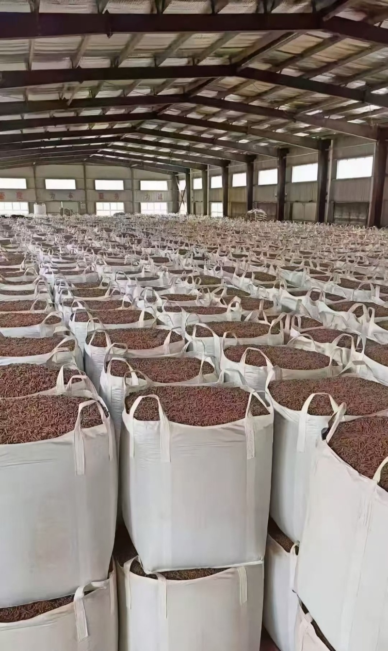 高品质生物质燃烧颗粒厂家直供代卖合作