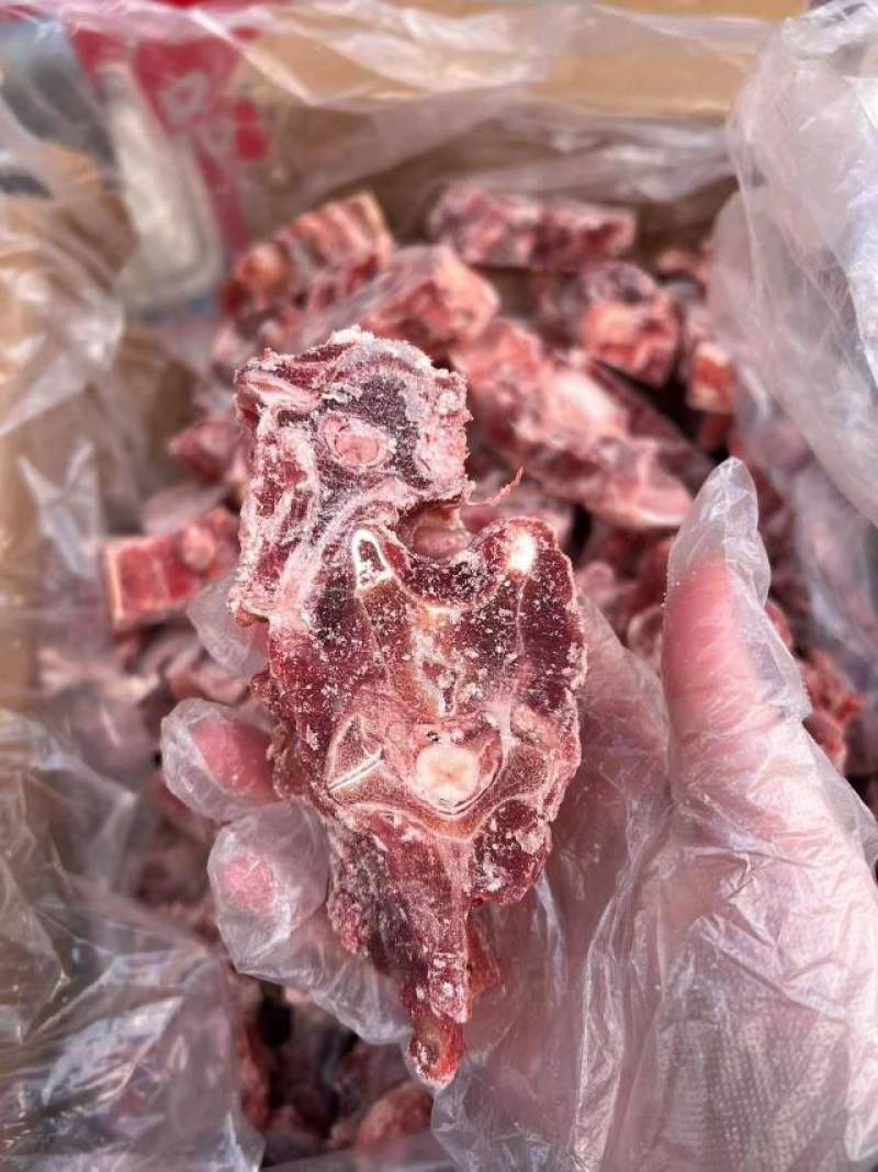 羊蝎子