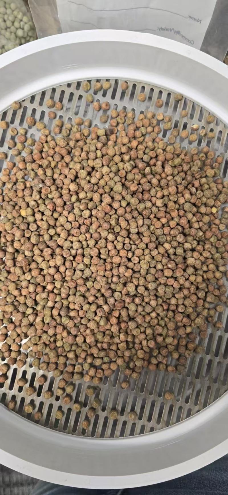 枫豆麻豌豆饲料酿酒酒曲芽苗菜