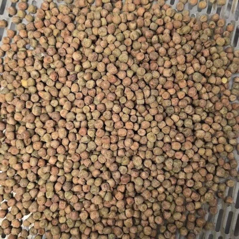 枫豆麻豌豆饲料酿酒酒曲芽苗菜