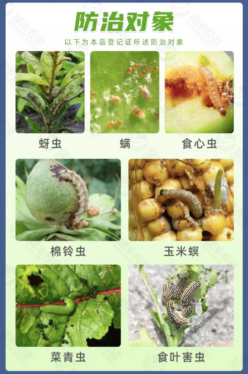 老牌厂家40%辛硫磷江苏宝灵菜青虫棉铃虫蚜虫玉米螟专用杀