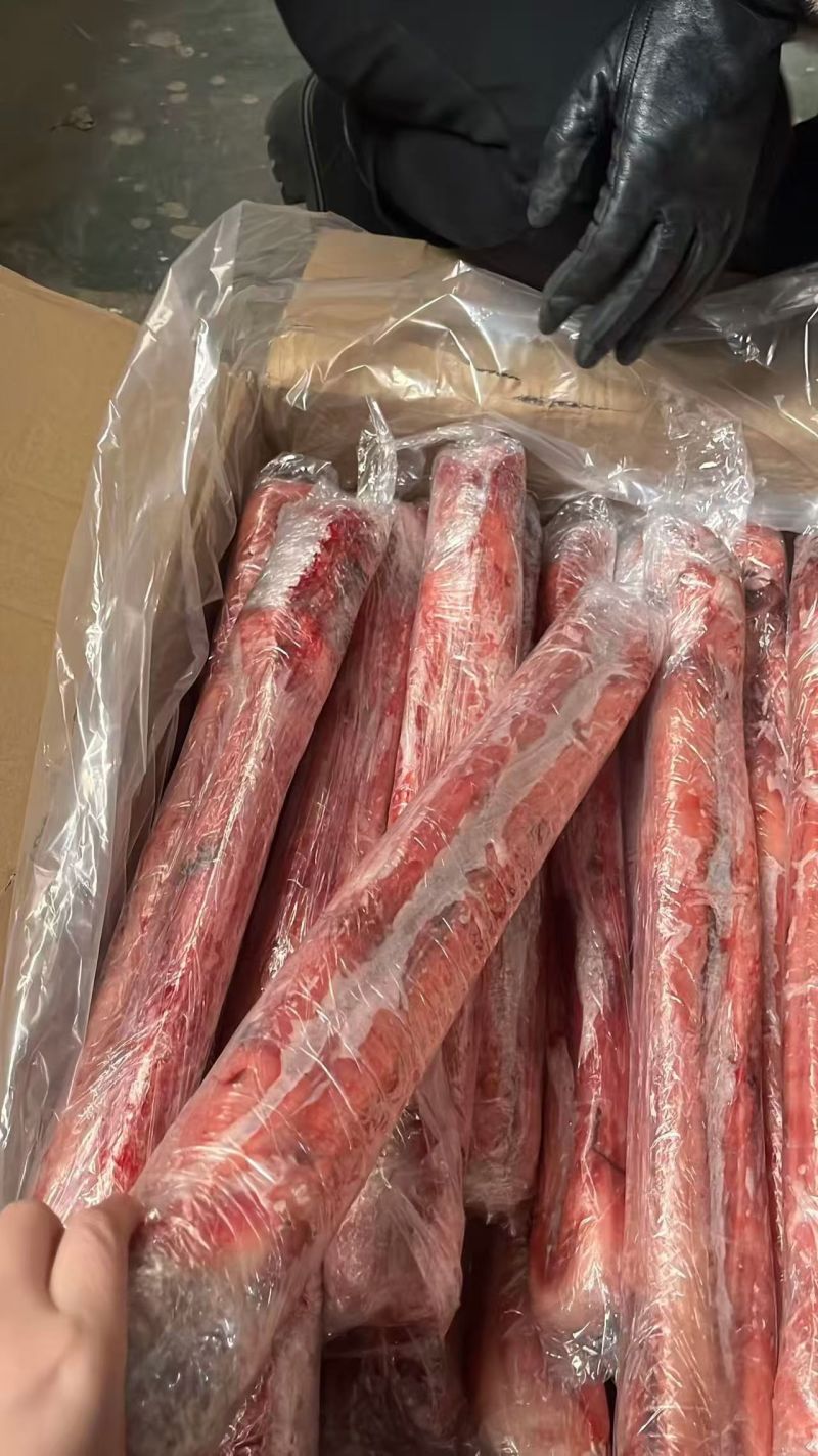 精品精修大牛鞭