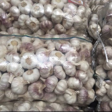 大蒜大量有货基地直供品质优可视频看货热卖中