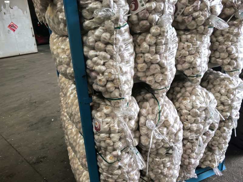 大蒜大量有货基地直供品质优可视频看货热卖中