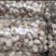大蒜大量有货基地直供品质优可视频看货热卖中
