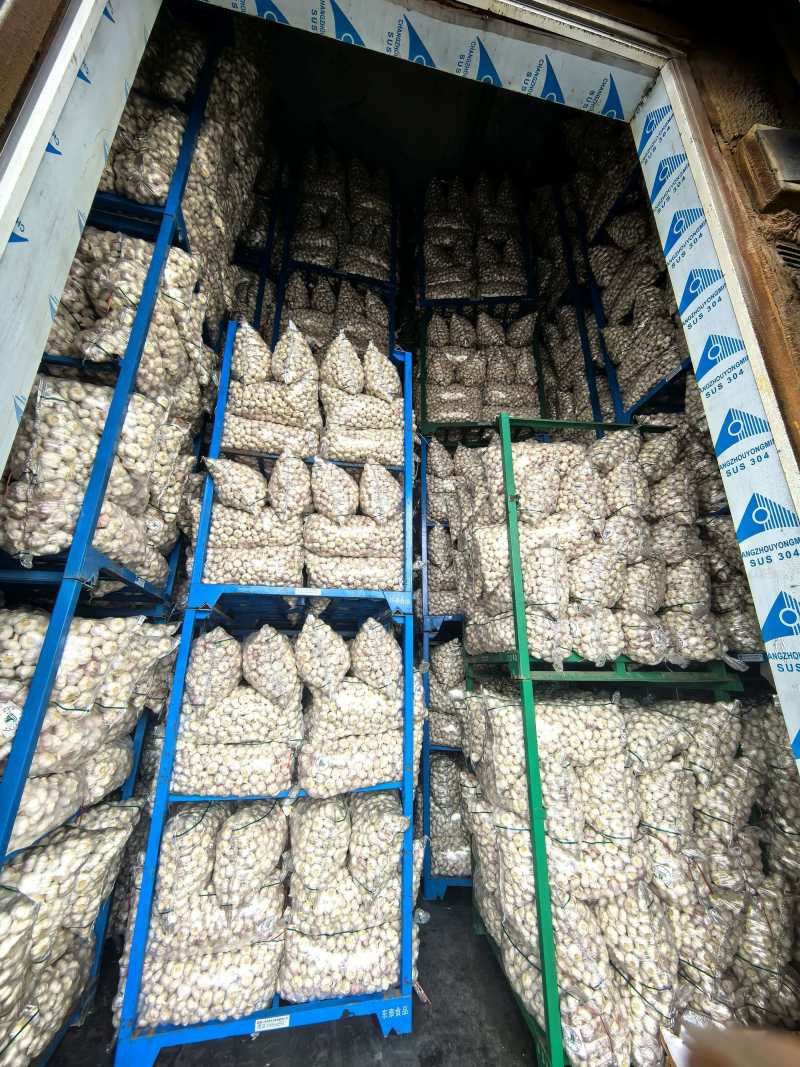 大蒜大量有货基地直供品质优可视频看货热卖中