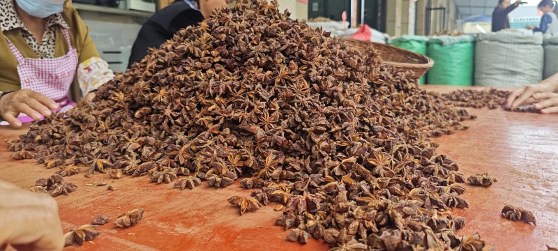 广西大红八角过筛大朵香味浓郁无硫纯干产地直发