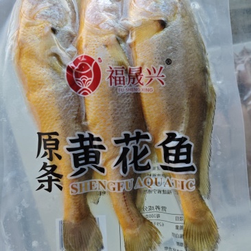 小黄鱼支持批发零售货源充足价格平稳欢迎大家咨询