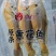 小黄鱼支持批发零售货源充足价格平稳欢迎大家咨询