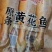 小黄鱼支持批发零售货源充足价格平稳欢迎大家咨询