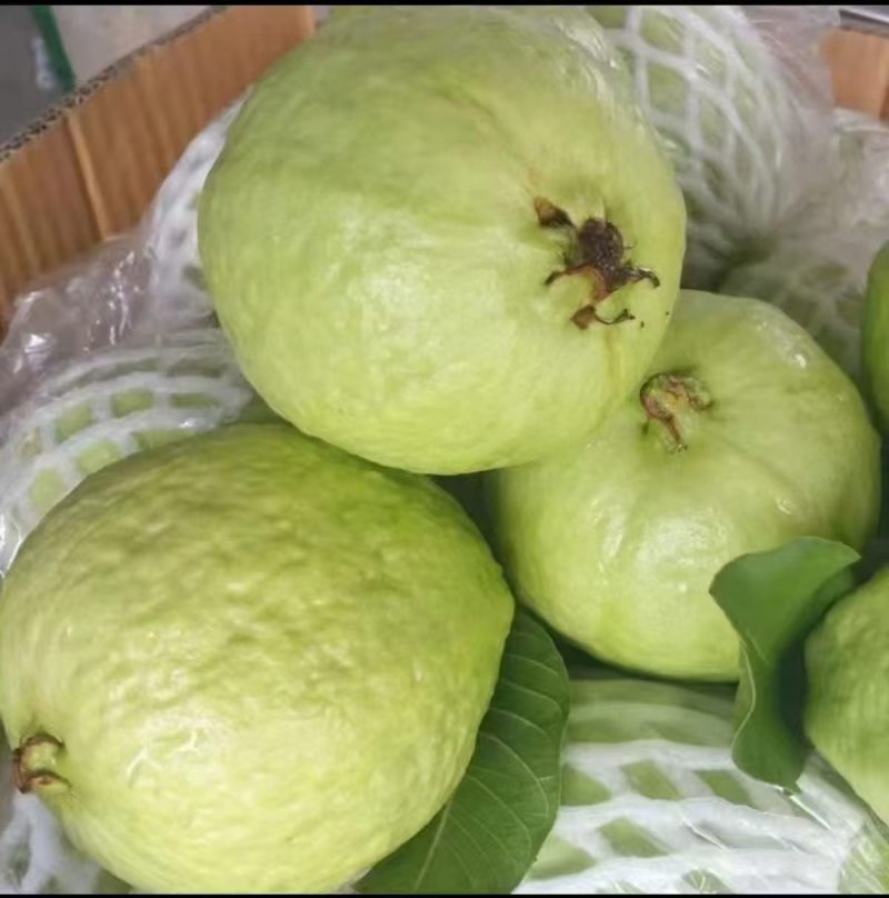 石榴红心和白心果；代收！