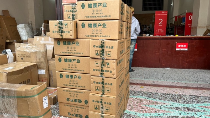 广西农家西芹、喝汁西芹、支持一件代发、欢迎合作