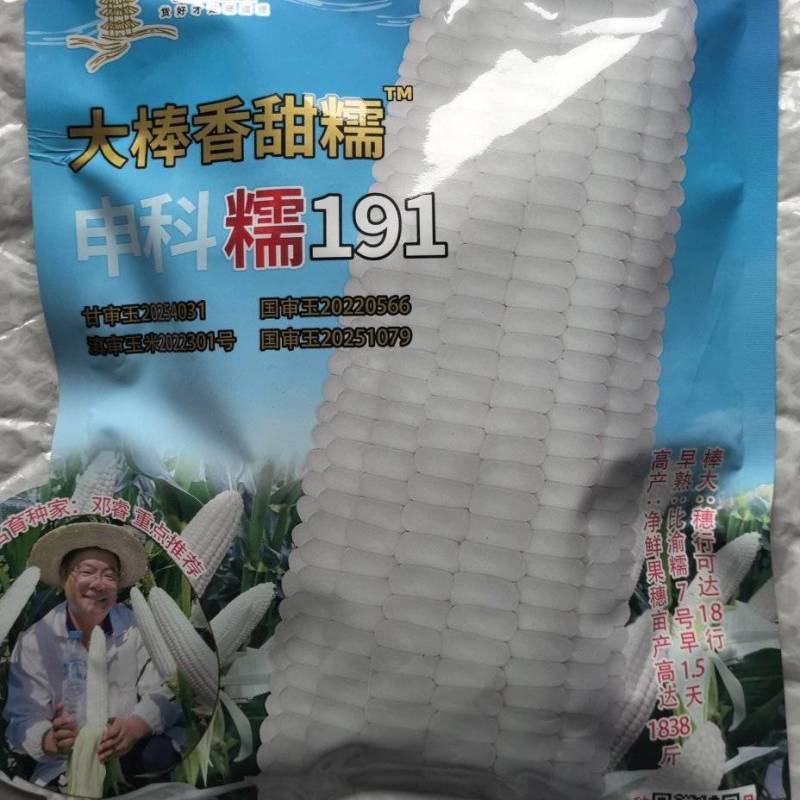 玉米种子申科糯191大棒高产白甜糯玉米每颗籽粒甜又糯