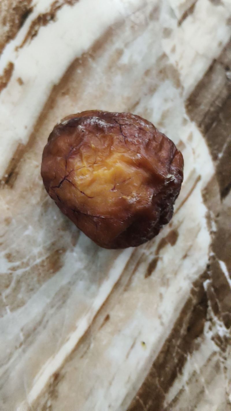 有没有老板收购鸡宝的我，有一个鸡宝