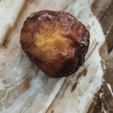 有没有老板收购鸡宝的我，有一个鸡宝