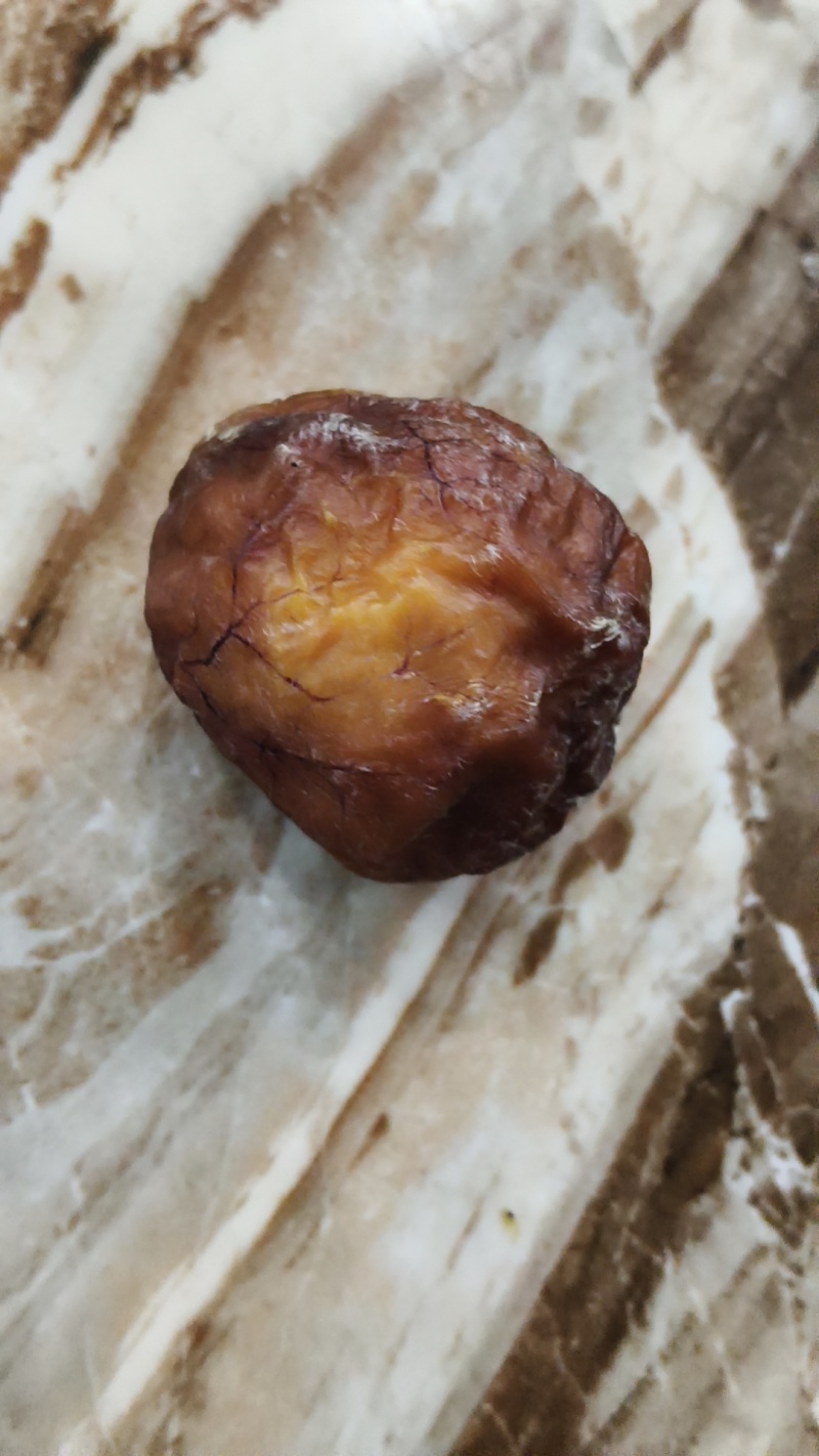 有没有老板收购鸡宝的我，有一个鸡宝