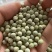 加拿大青豆绿豌豆青豌豆泡水罐头油炸