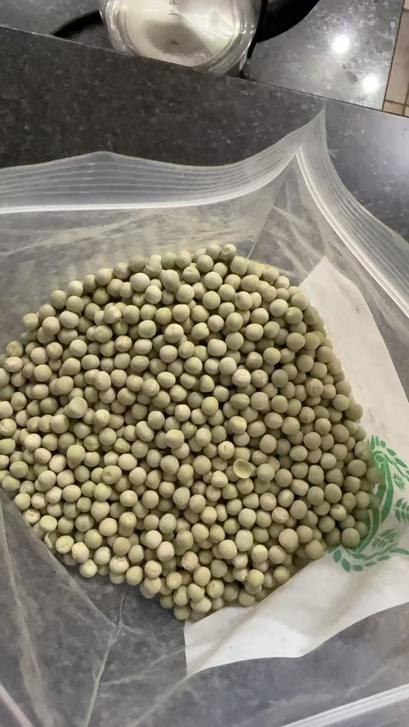 加拿大青豆绿豌豆青豌豆泡水罐头油炸