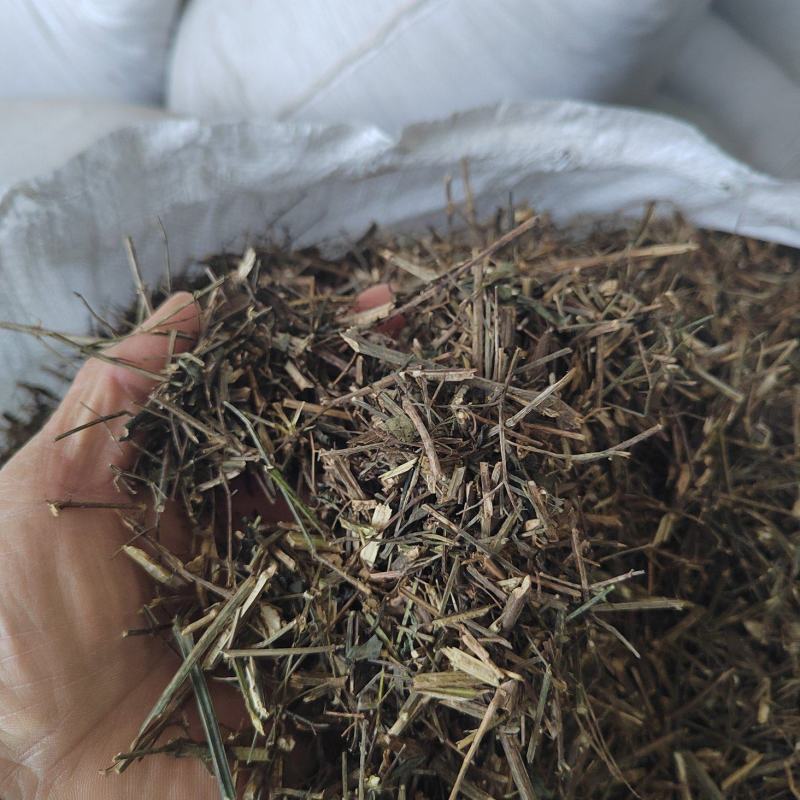 穿心莲，产地直发，支持视频看货，货源充足