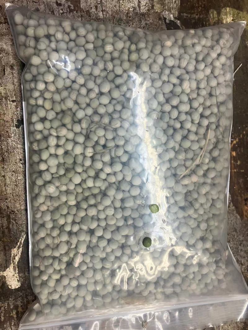 加拿大绿豌豆青豆干豌豆青豌豆泡水炒货油炸