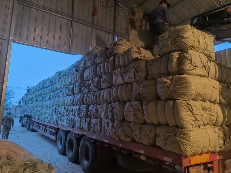 甜叶菊/甘肃张掖甜叶菊基地大量有货/对接全国采购商