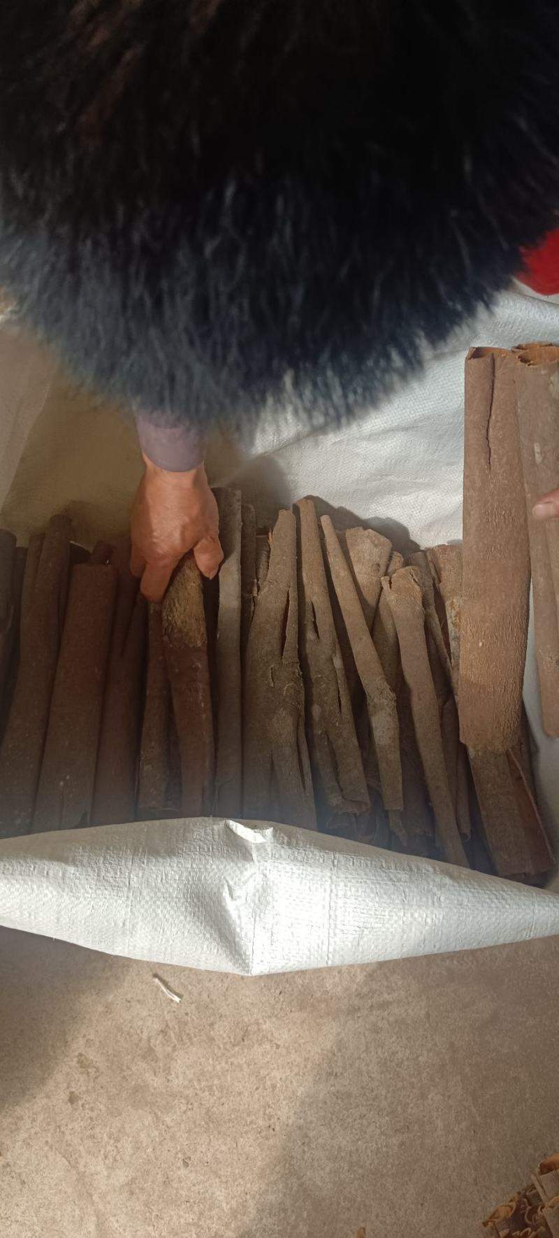 广西高山肉桂,深山肉桂老肉桂,水洗肉桂,油桂,桂通,通货