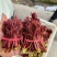 精品香椿芽一手货源全国发货量大价优欢迎随时
