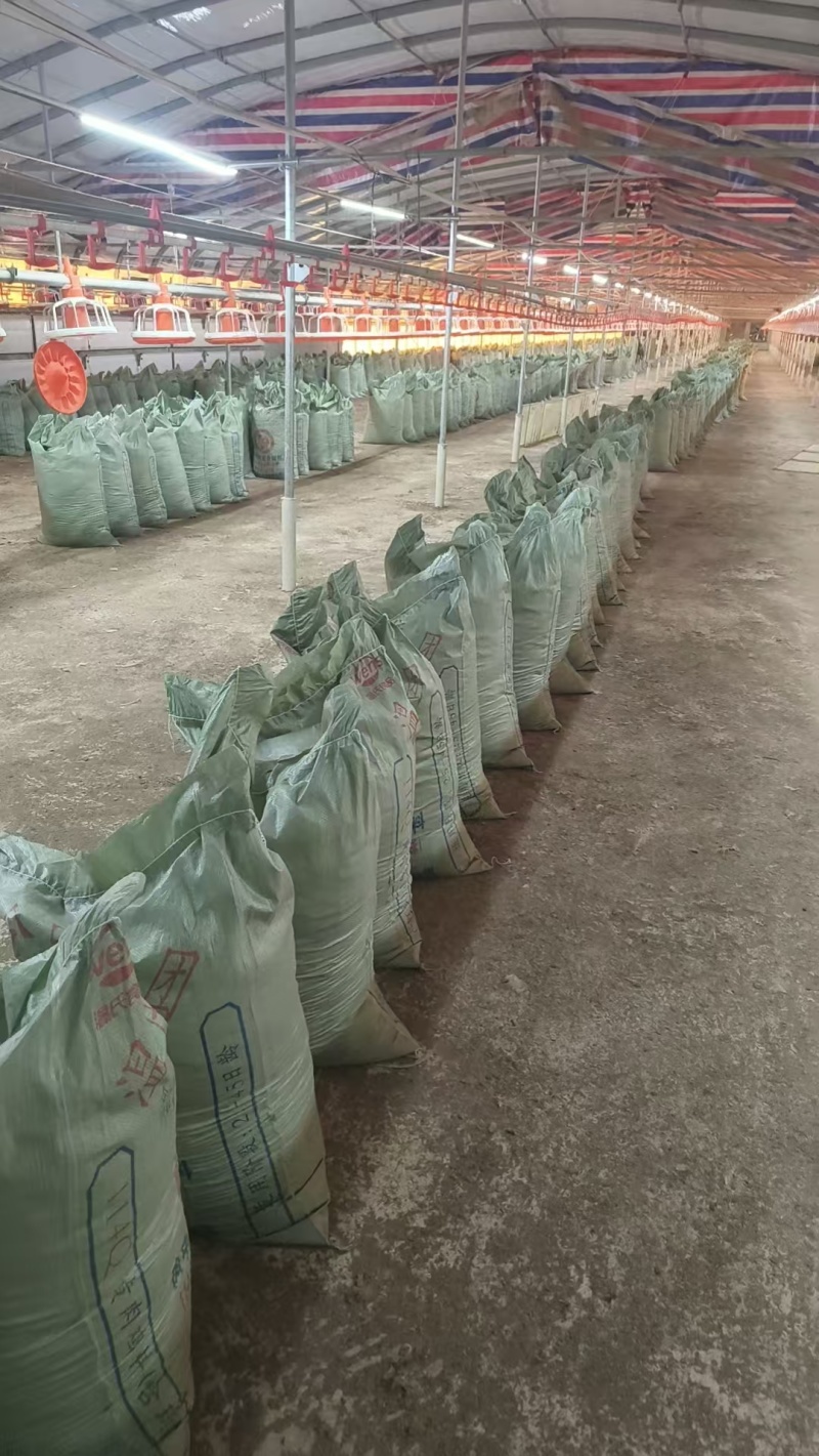 稻壳鸡粪