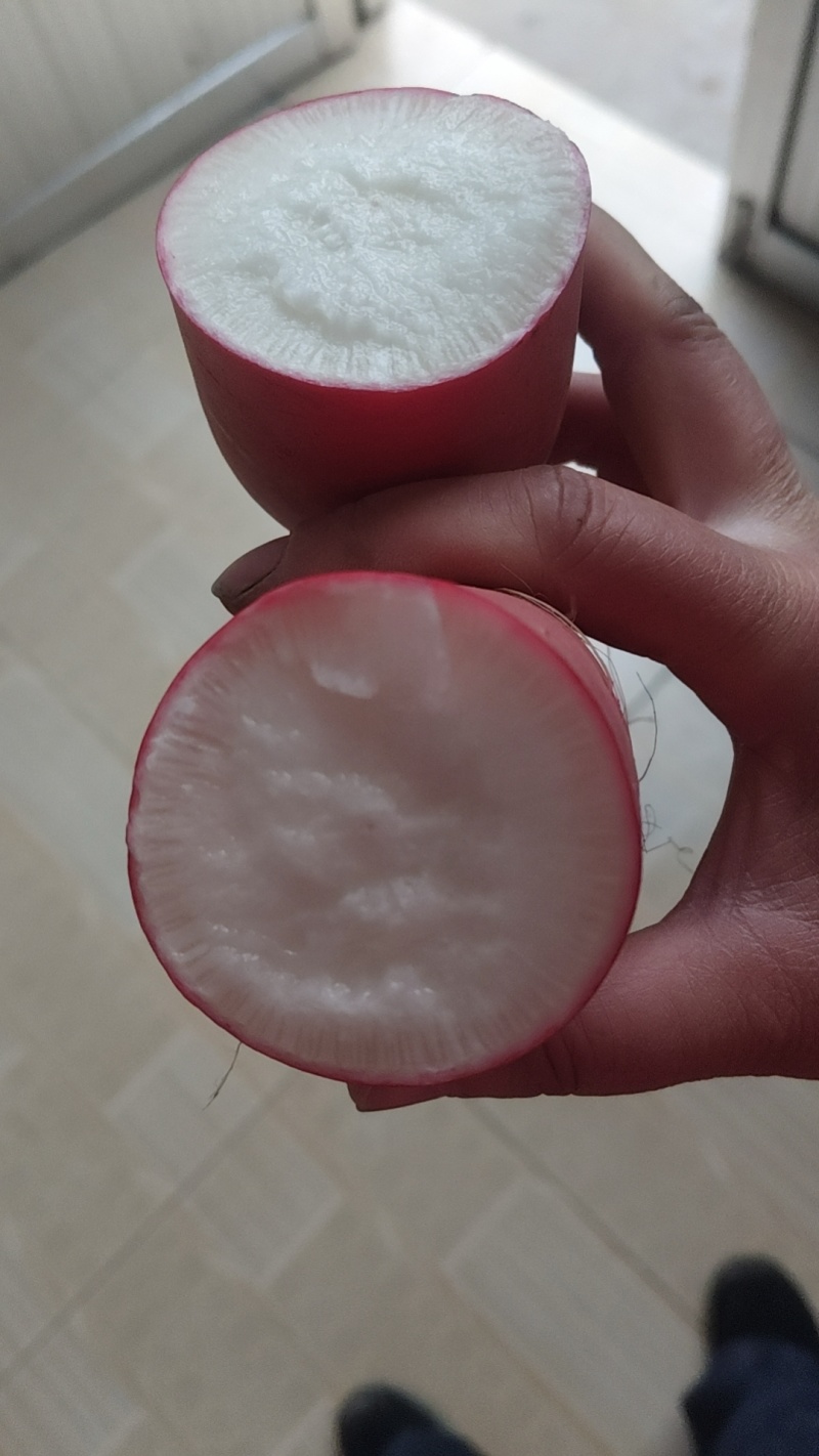 水萝卜