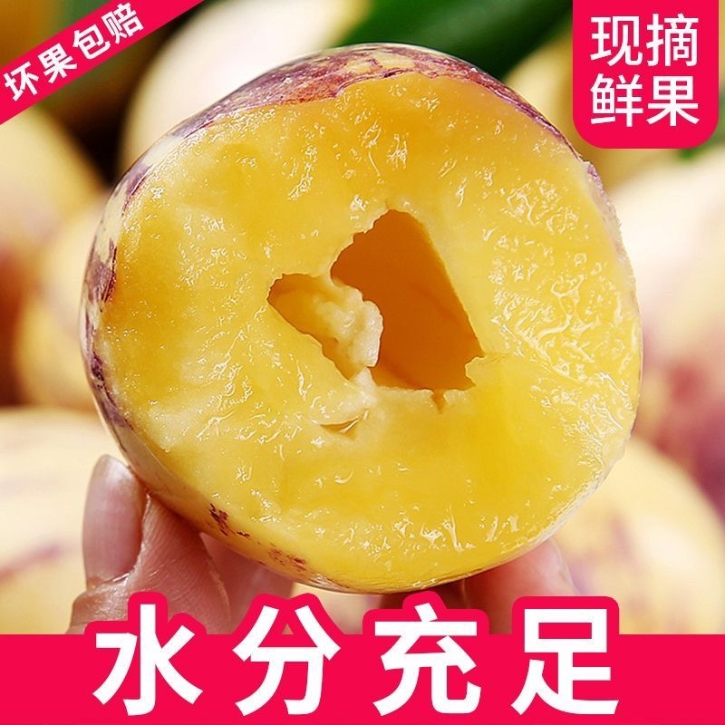 甘肃民勤沙漠人参果电商平台一件代发，