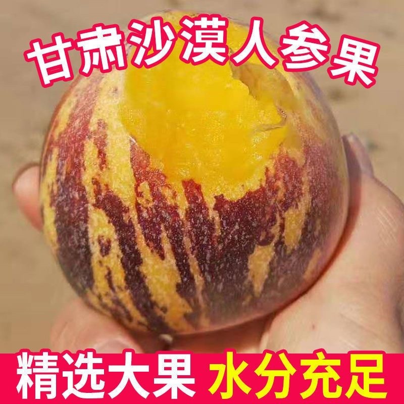 甘肃民勤沙漠人参果电商平台一件代发，