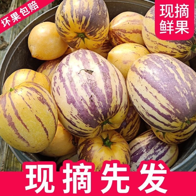 甘肃民勤沙漠人参果电商平台一件代发，