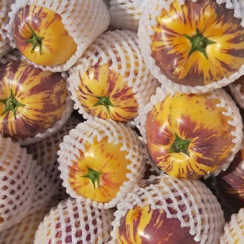 甘肃民勤沙漠人参果电商平台一件代发，
