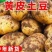 《精选》黄皮黄心土豆基地直发对接商超团购电商一条龙服务