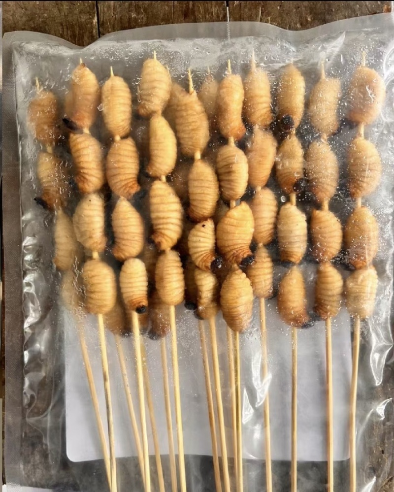 精品竹笋虫烧烤串产地一手货源全国发货量大价优欢迎随时联系