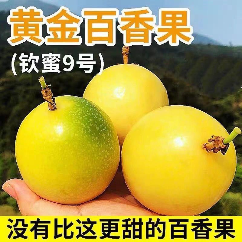 （钦蜜九号）黄金百香果，产地直发一件代发，大量现货