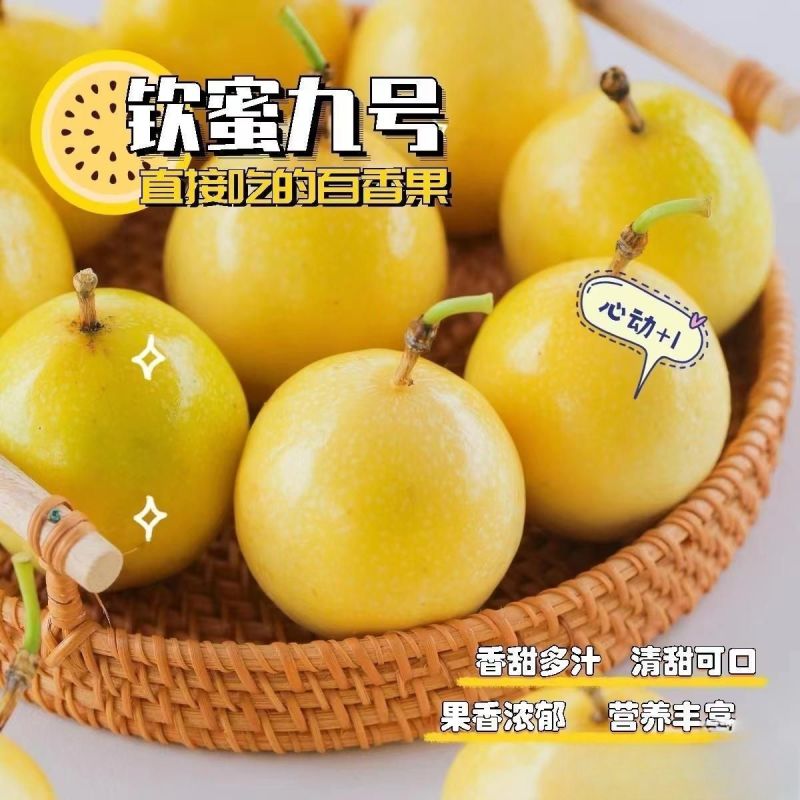 （钦蜜九号）黄金百香果，产地直发一件代发，大量现货