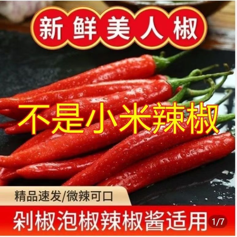 海花红美人椒10-15ccm硬皮地头价，要整车留言我