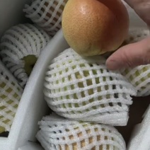 玉露香梨8斤装礼盒