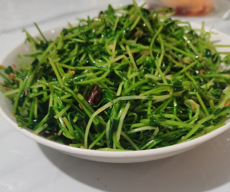 麻豌豆铁皮麻豌豆做豌豆苗