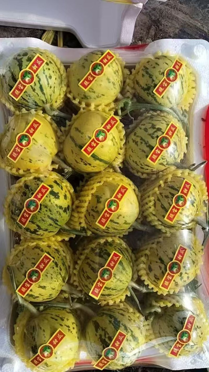 【重磅推荐】花美人甜瓜/花蕾甜瓜/产地直发/量大从优