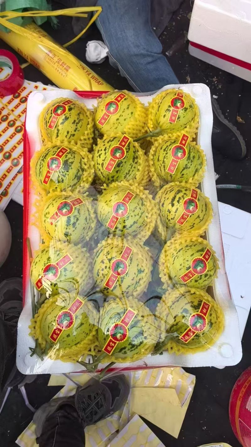 【重磅推荐】花美人甜瓜/花蕾甜瓜/产地直发/量大从优
